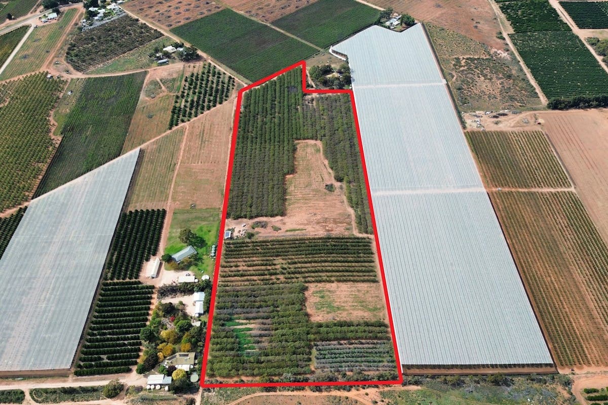 55/Old Cooltong Avenue, Renmark, SA, 5341, Renmark - Image 1