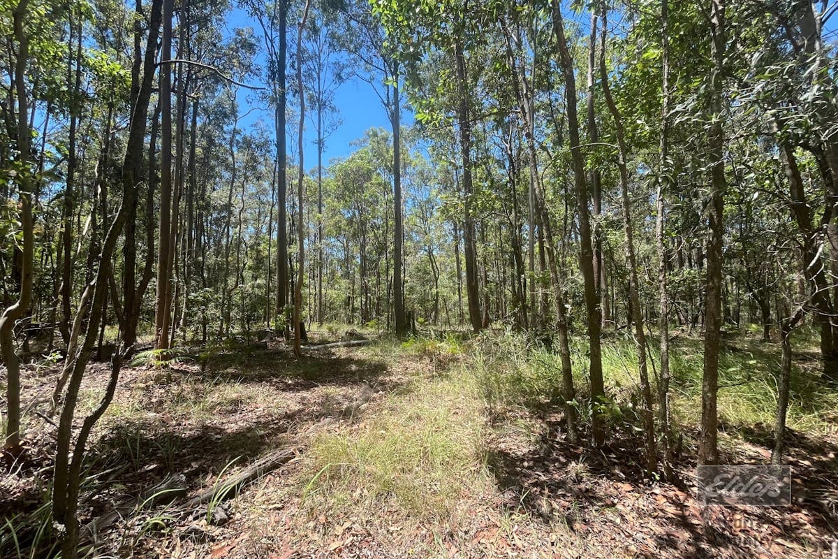 2152 Sandy Creek Road, Downsfield, QLD, 4570, Downsfield - Image 1