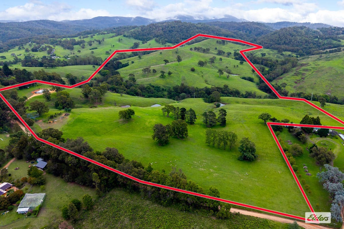 50 House Creek Road, Brogo, NSW, 2550, Brogo - Image 1
