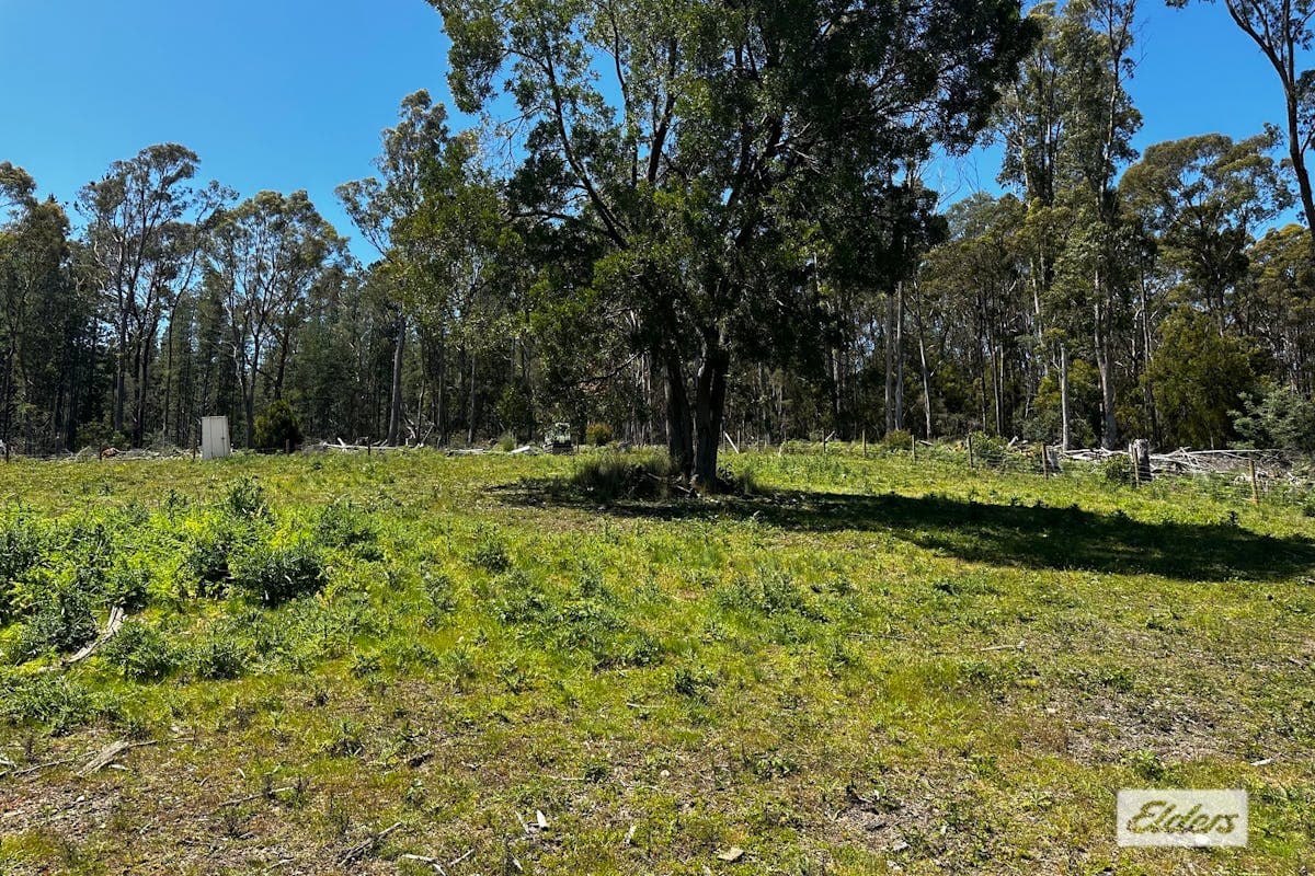 Dulverton Road, Railton, TAS, 7305, Railton - Image 1