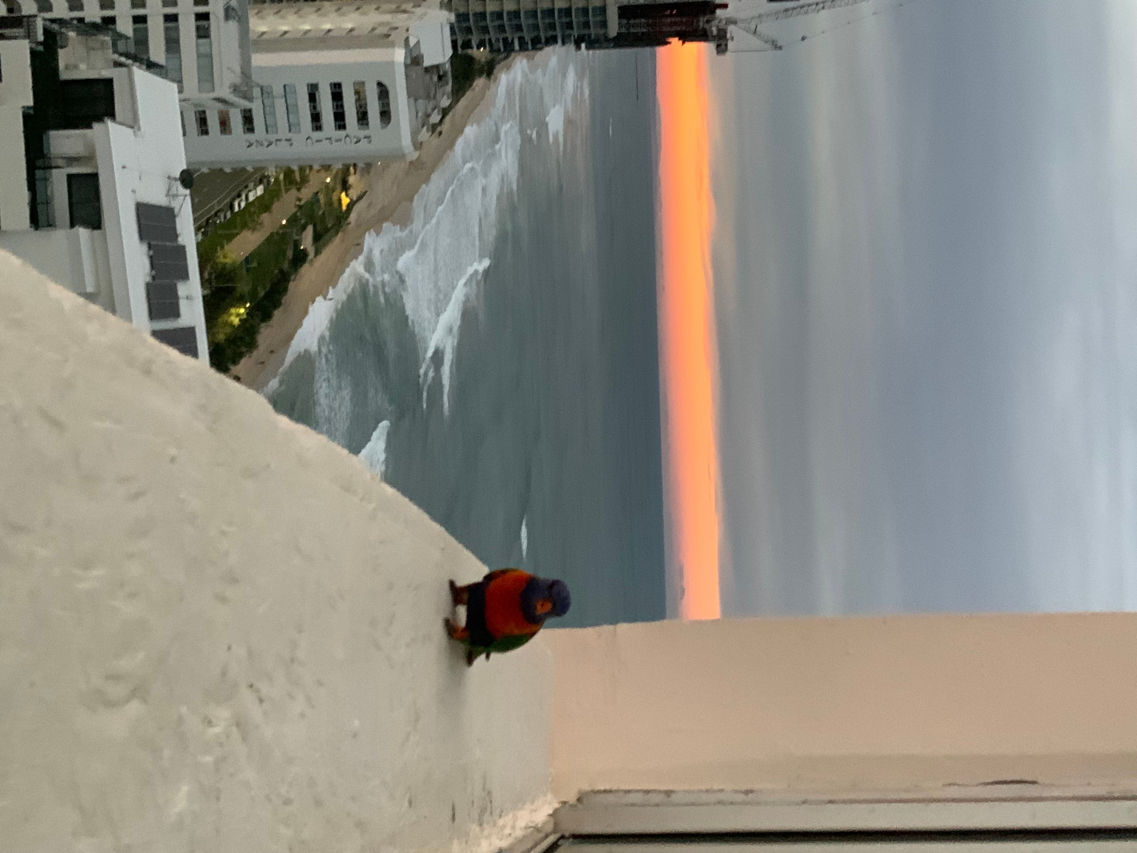 111/114 The Esplanade, Surfers Paradise, QLD 4217, Surfers Paradise - Image 1