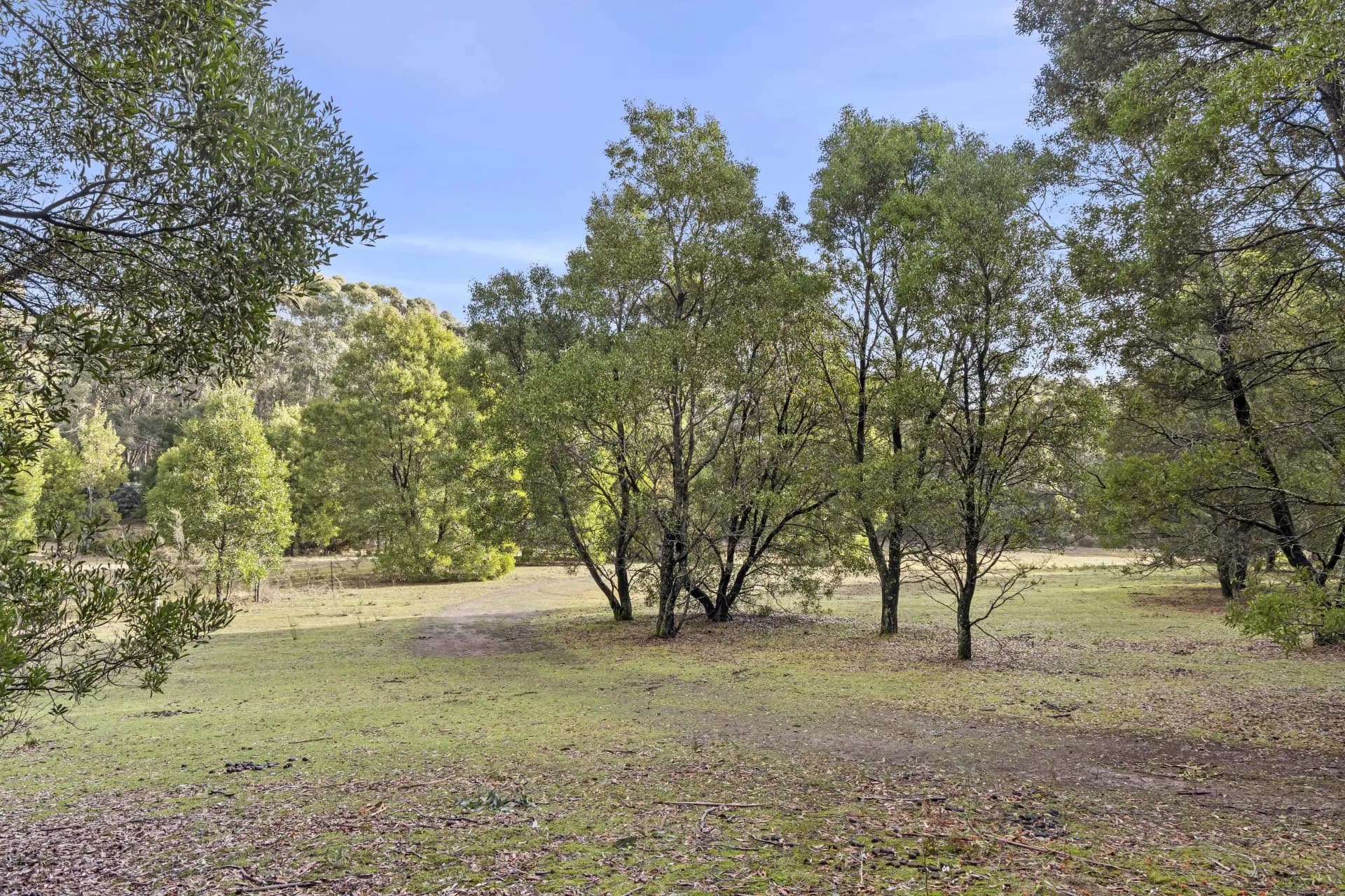 6 Mullens Road, Trentham, VIC, Trentham - Image 1
