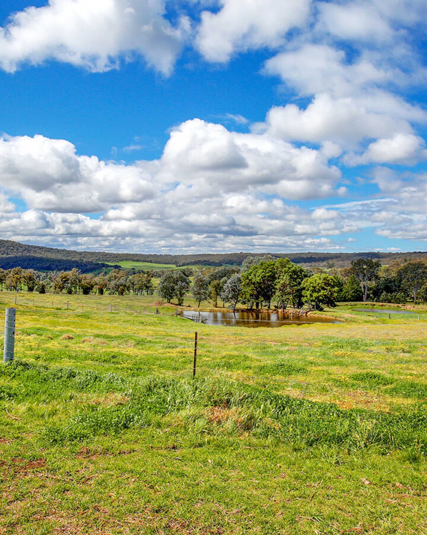 315 Nandi Road Canyonleigh, Canyonleigh - Image 1