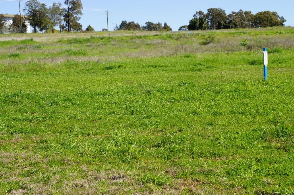 95 Linda Drive, Dubbo NSW 2830, Dubbo - Image 1