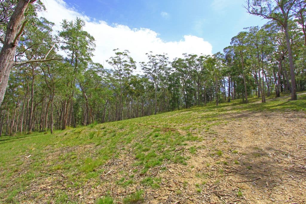 120 Dooralong Ridge Drive, Dooralong NSW 2259, Dooralong - Image 1