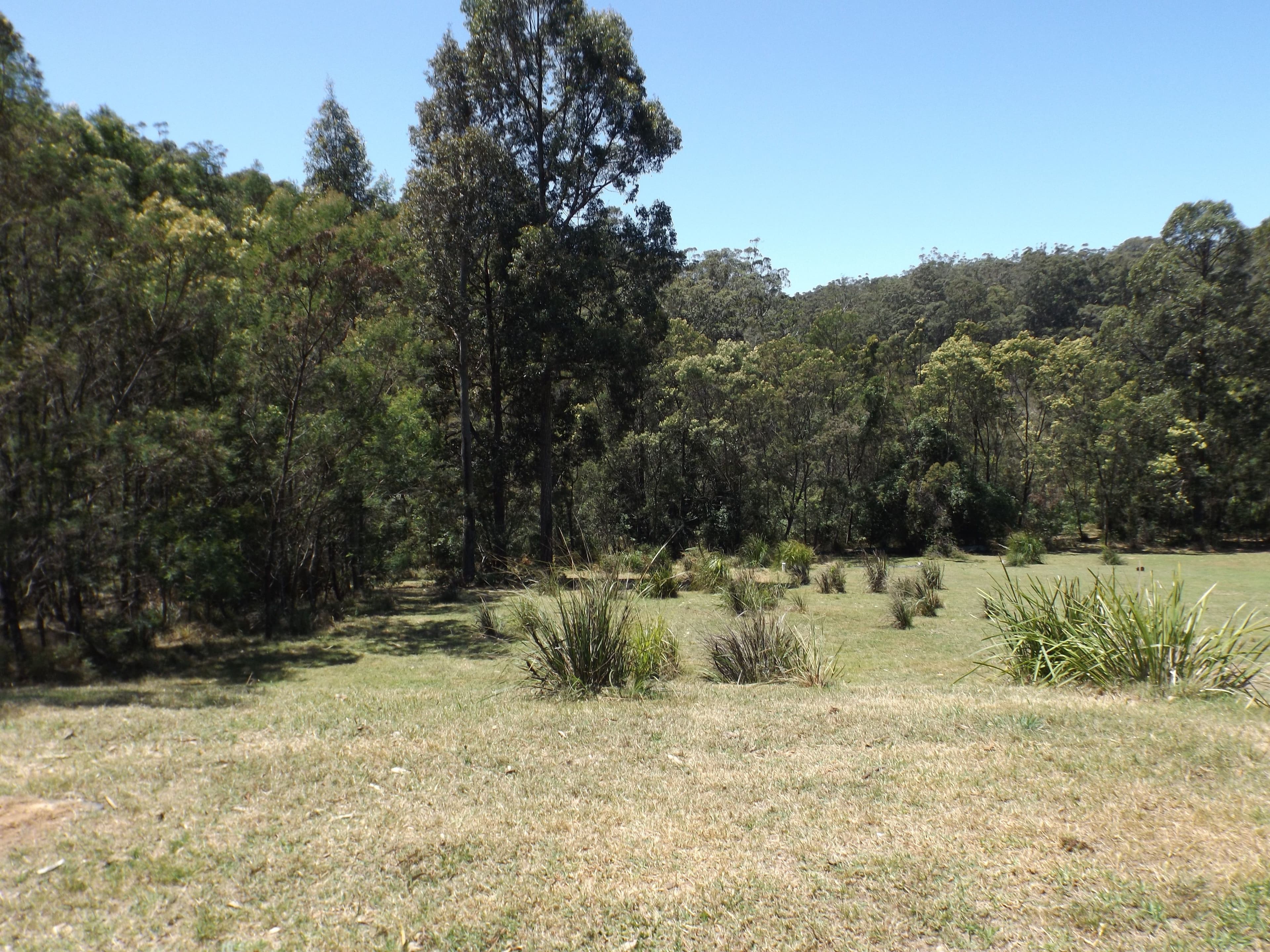 20 Clarence Street, Long Beach NSW 2536, Long Beach - Image 1