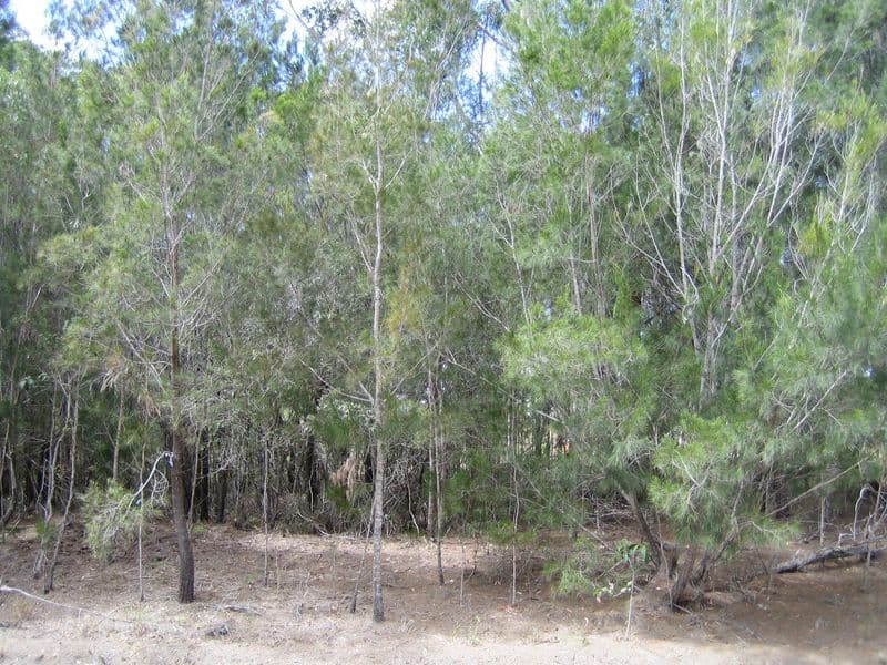 9 Vernon Way, RUSSELL ISLAND QLD 4184, Russell Island - Image 1