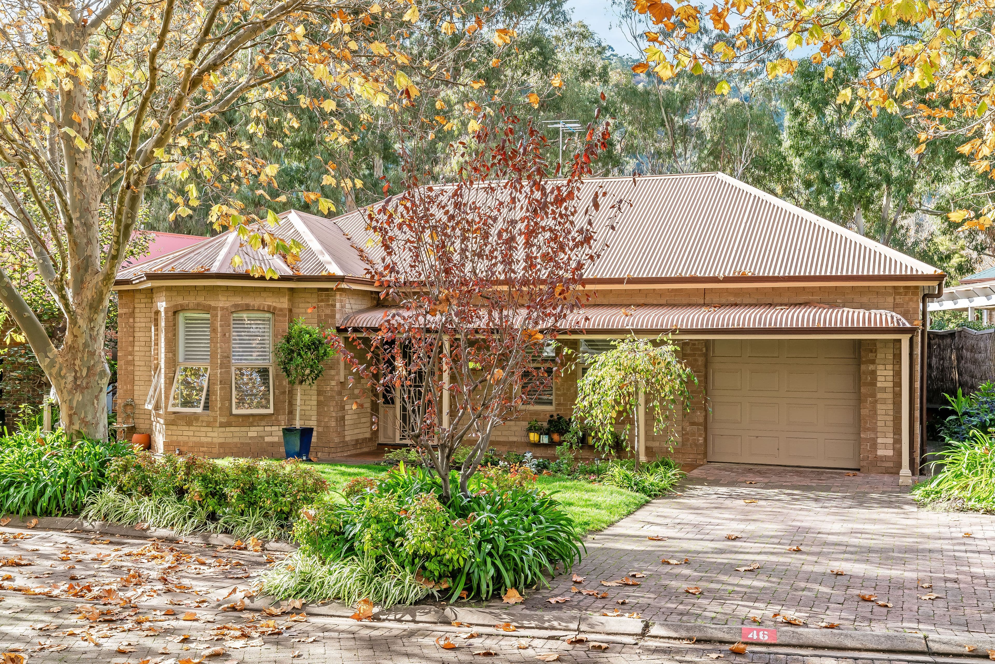 5 Mount Barker Road, Urrbrae SA 5064, Urrbrae - Image 1