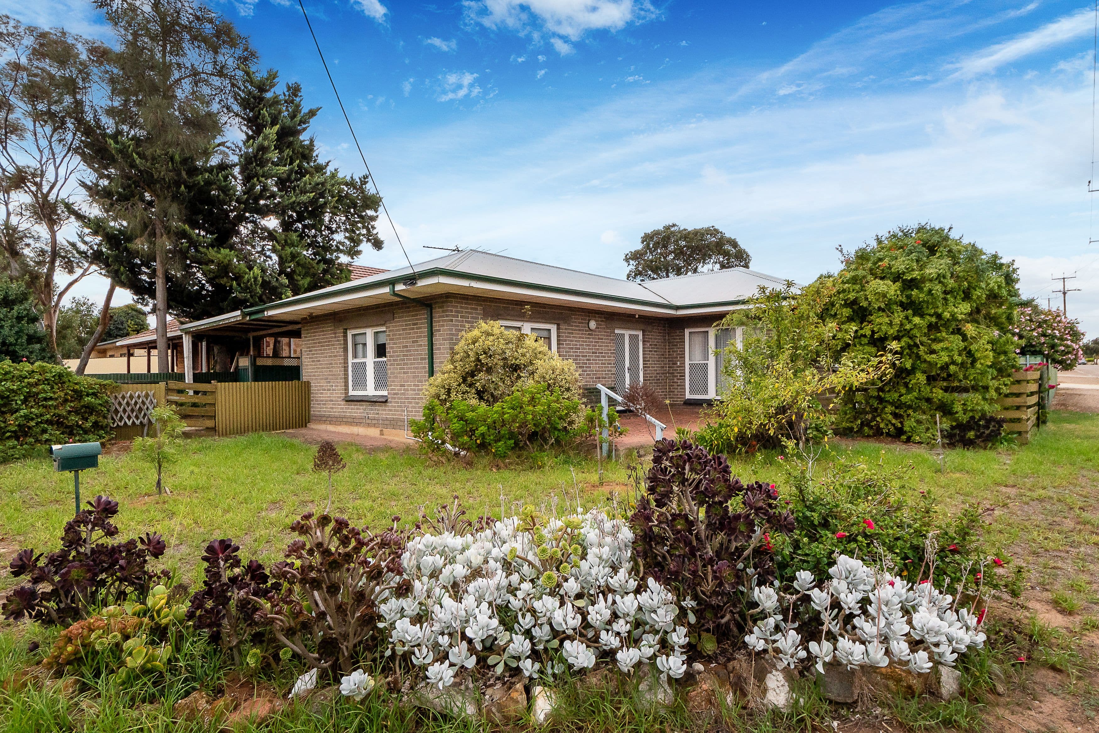 8 Amanda Street, Murray Bridge SA 5253, Murray Bridge - Image 1