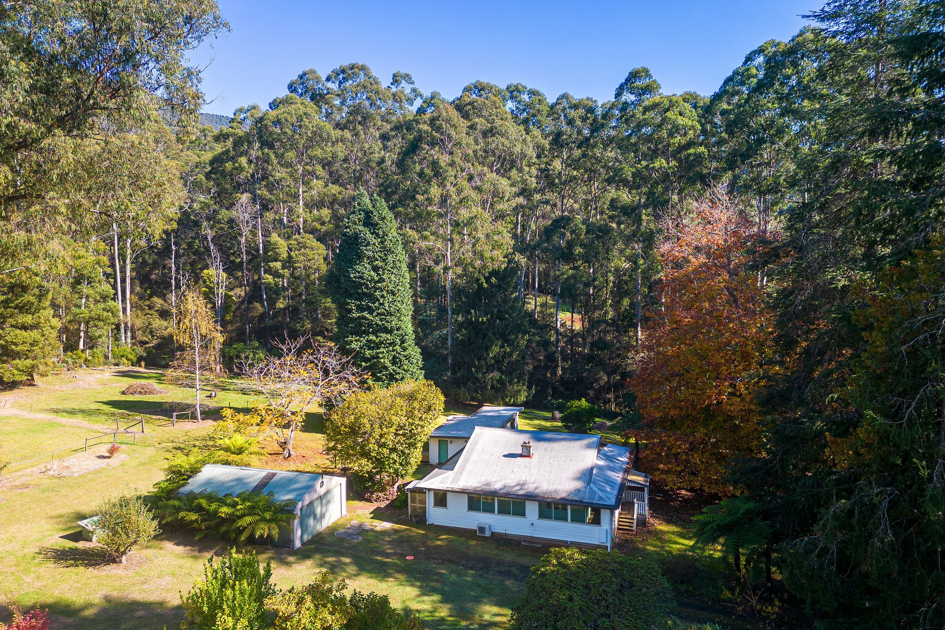 220 Big Pats Creek Road, Big Pats Creek VIC 3799, Big Pats Creek - Image 1