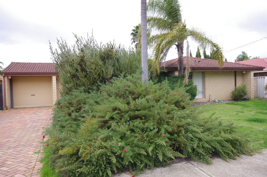 30 Wandoo Road, MORLEY WA 6062, Morley - Image 1