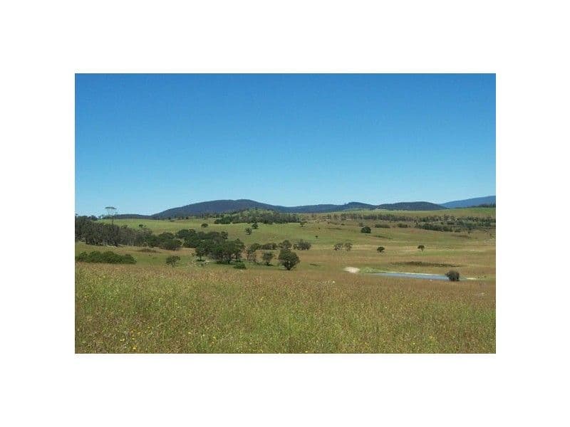 159 Harts Road - Krawarree, Braidwood NSW 2622, Braidwood - Image 1