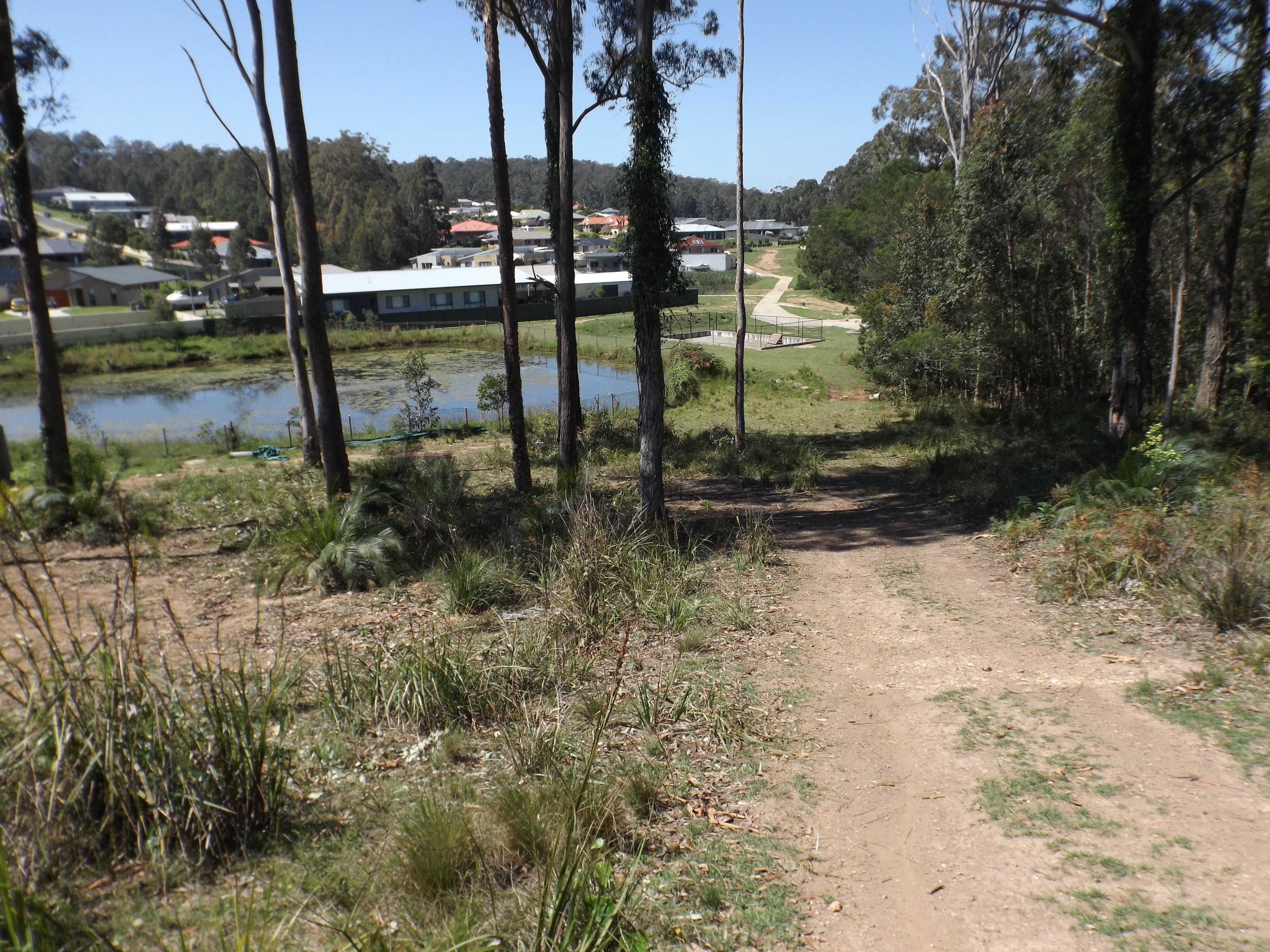 85 Litchfield Crescent, Long Beach NSW 2536, Long Beach - Image 1