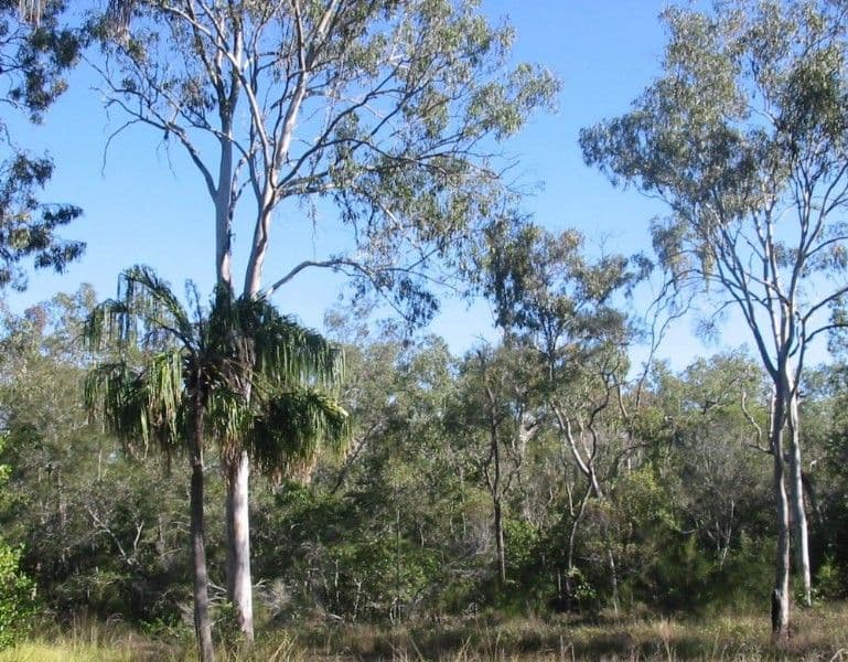 AGNES WATER QLD 4677, Agnes Water - Image 1
