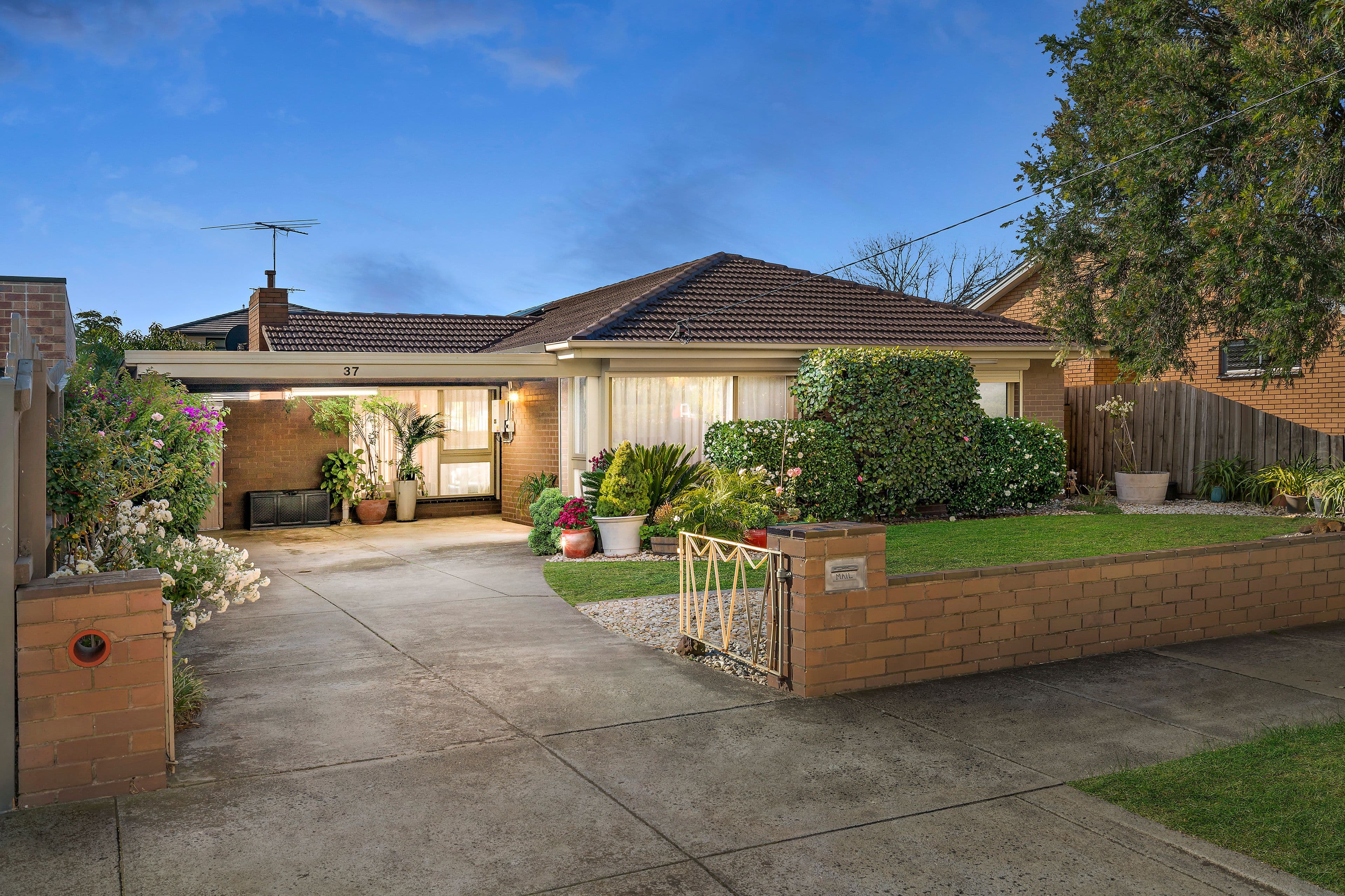 37 Argus Street, Cheltenham VIC 3192, Cheltenham - Image 1