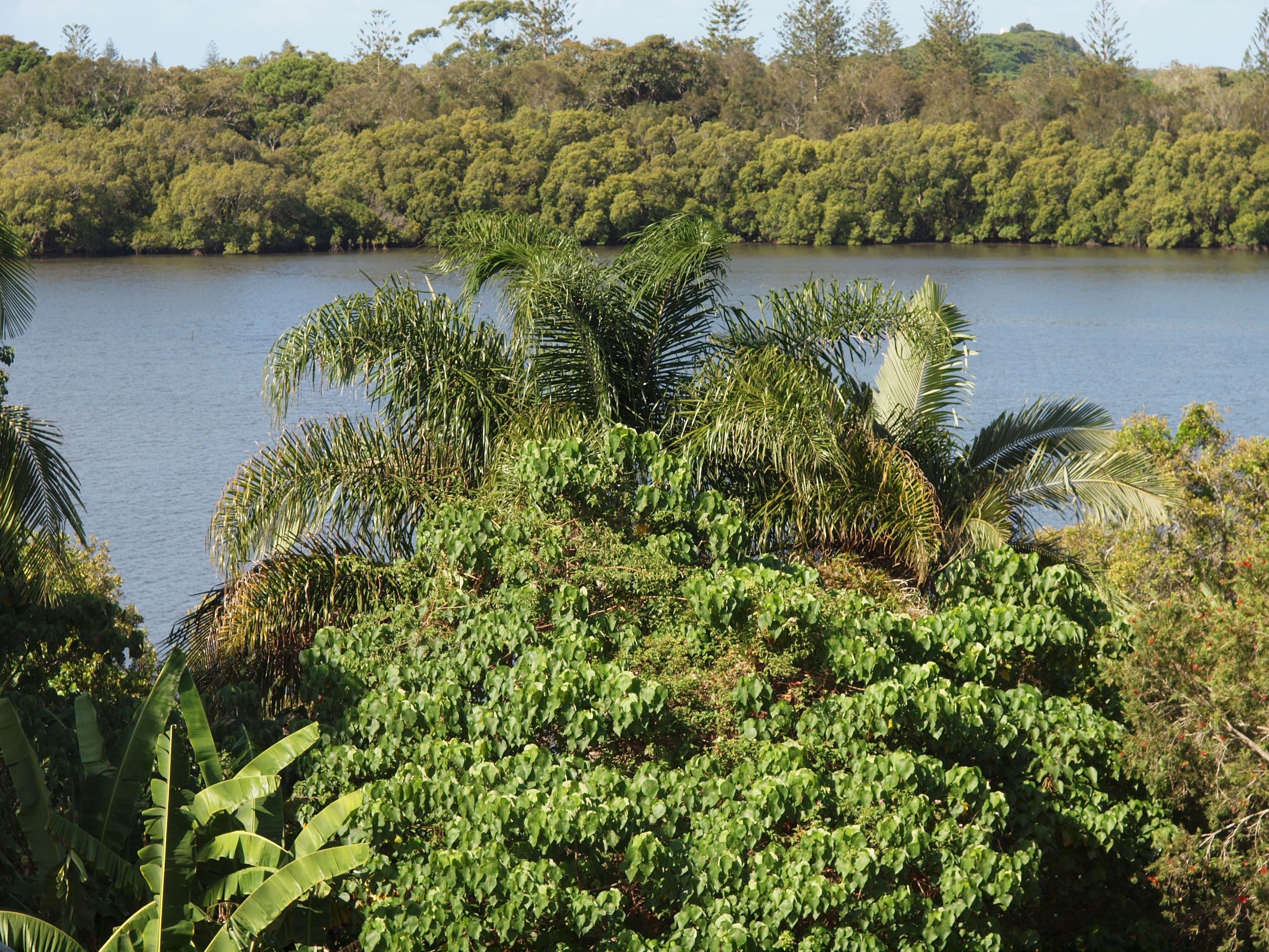 11 Boyle Avenue, Banora Point - Image 1