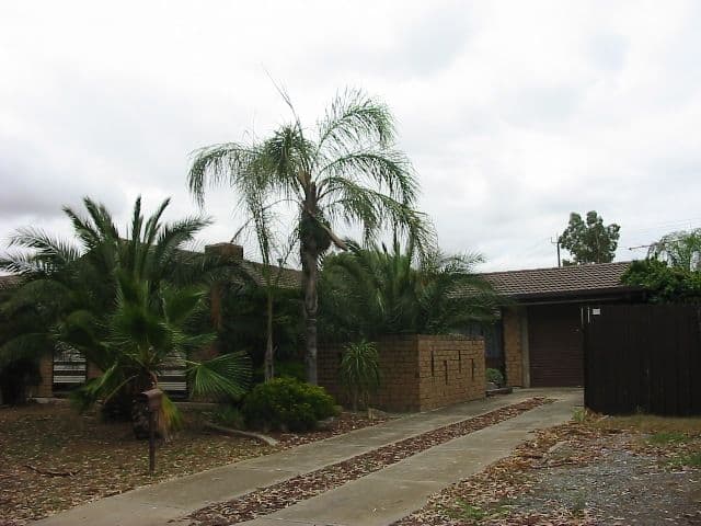 7 Patterson Court, PARALOWIE SA 5108, Paralowie - Image 1
