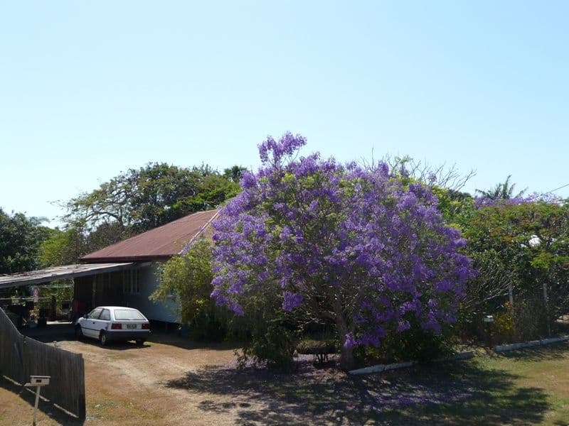 4 Coopers Court, Mount Cotton, QLD, 4165, Mount Cotton - Image 1