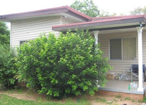 8 Castlereagh Street, COONAMBLE NSW 2829, Coonamble - Image 1