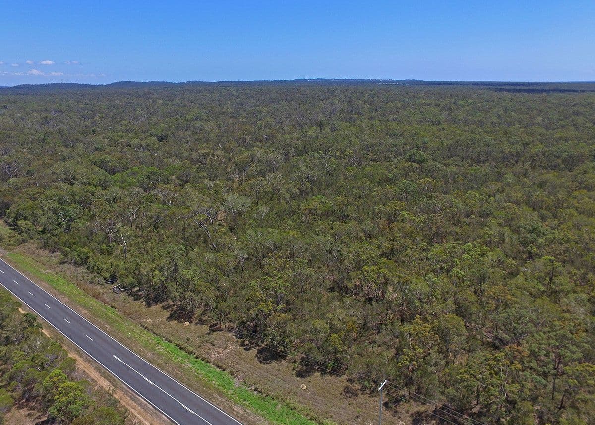 155-169 Torbanlea Pialba Road, Walligan QLD 4655, Walligan - Image 1