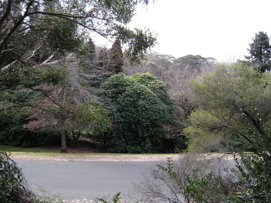 22 Gardiners Crescent, BLACKHEATH NSW 2785, Blackheath - Image 1