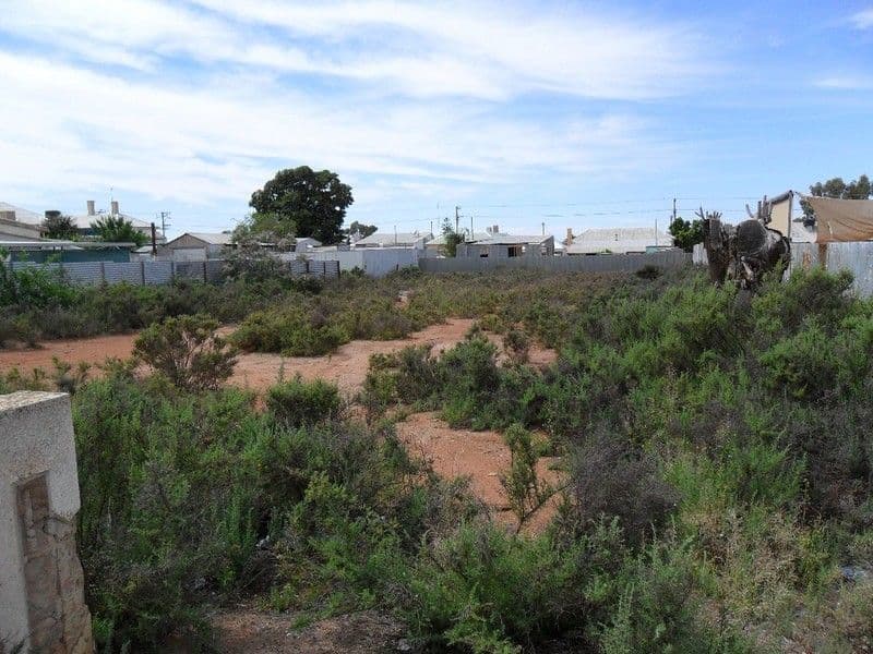 337 Williams Lane, BROKEN HILL NSW 2880, Broken Hill - Image 1