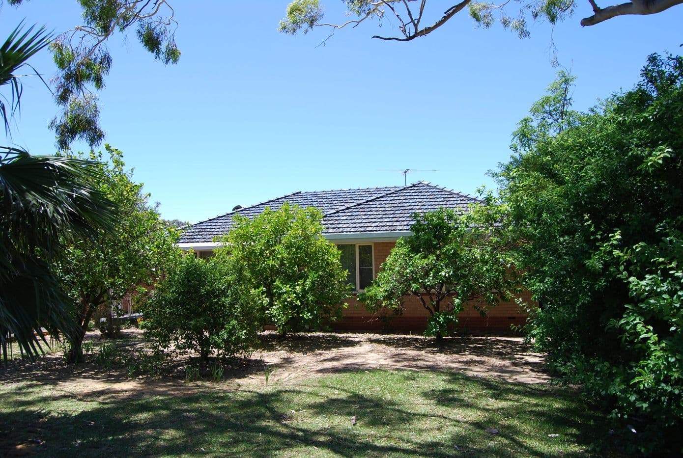 2360 Albany Highway, GOSNELLS WA 6110, Gosnells - Image 1