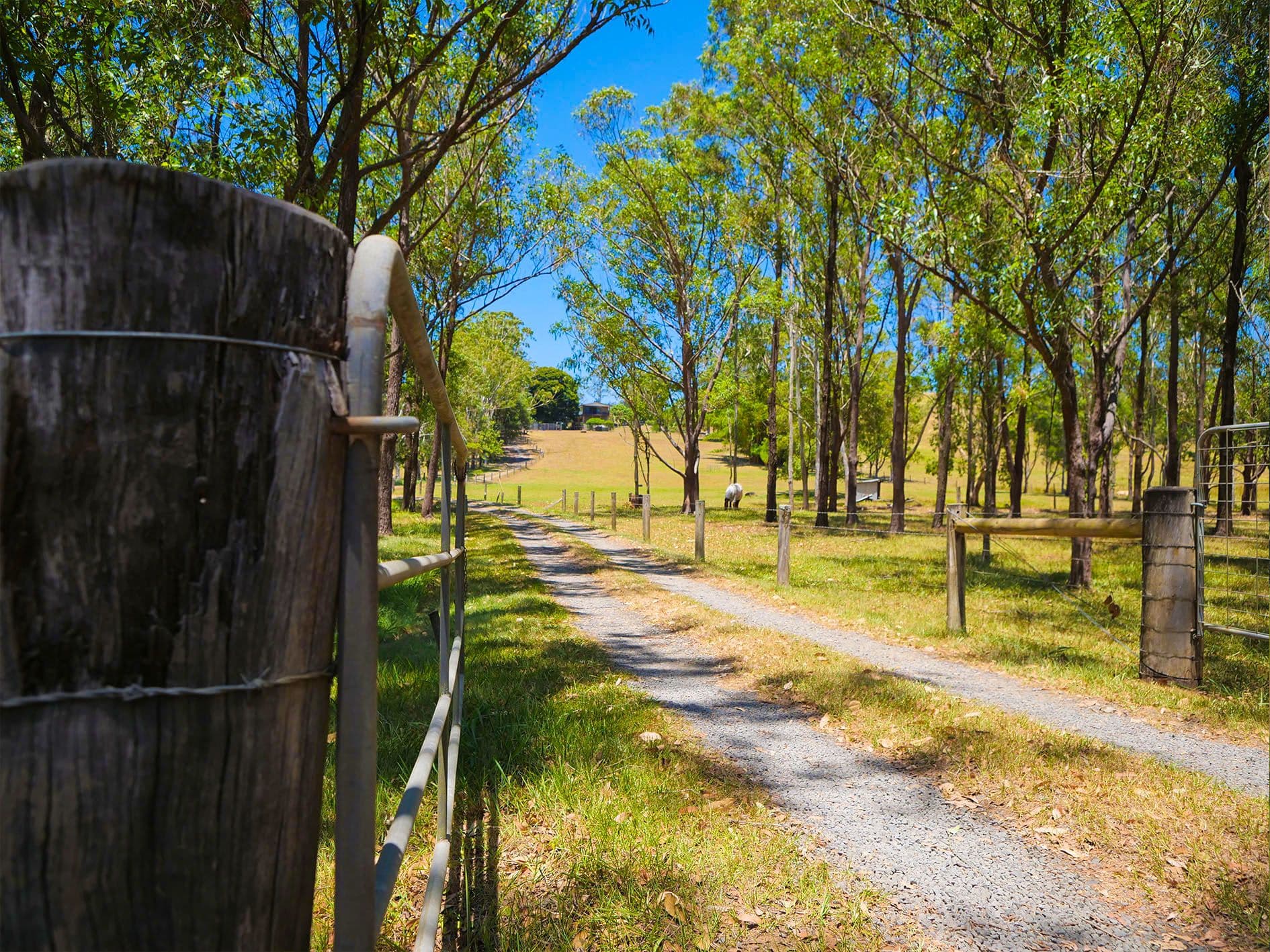 75 Mathieson Lane, Tucki Tucki - Image 1