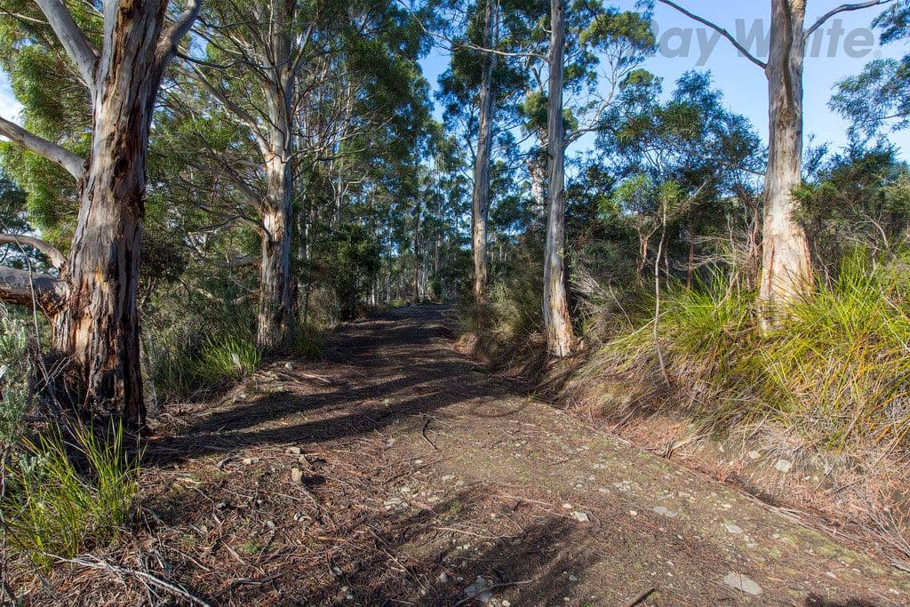 101 Devlyns Road, Birchs Bay TAS 7162, Birchs Bay - Image 1