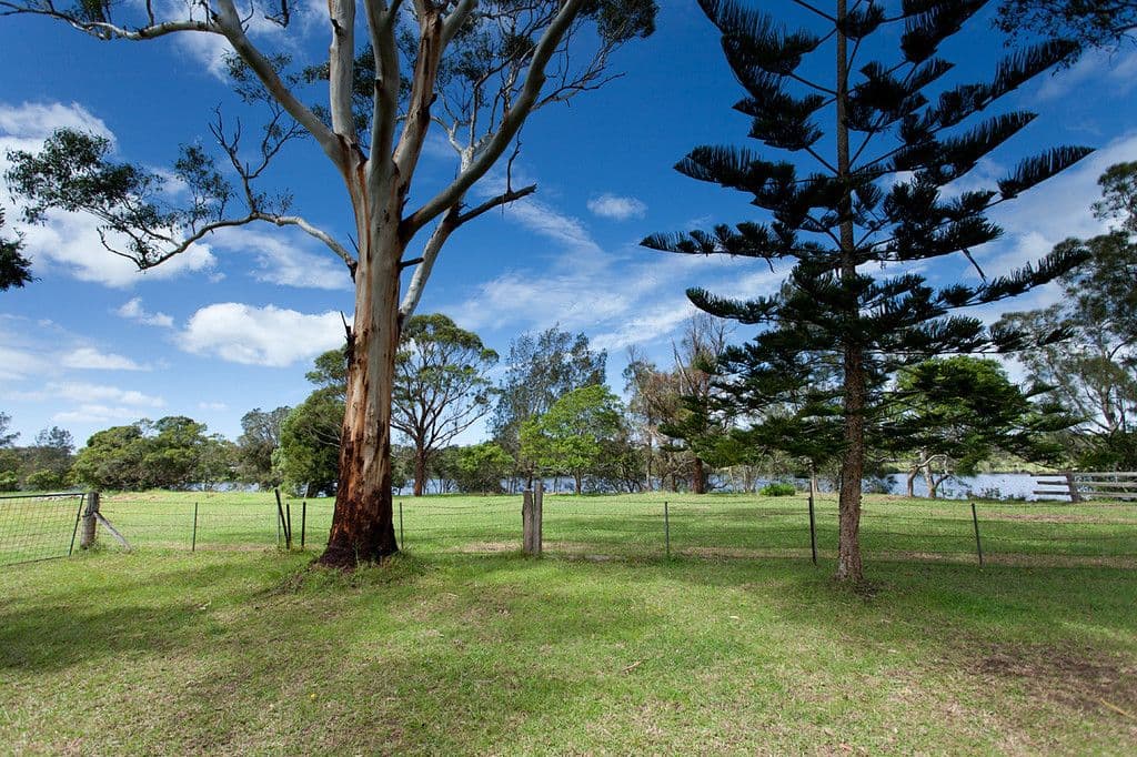 319 Manning Point Road, Oxley Island NSW 2430, Oxley Island - Image 1