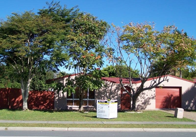 31 Avocado Street, ELANORA QLD 4221, Elanora - Image 1