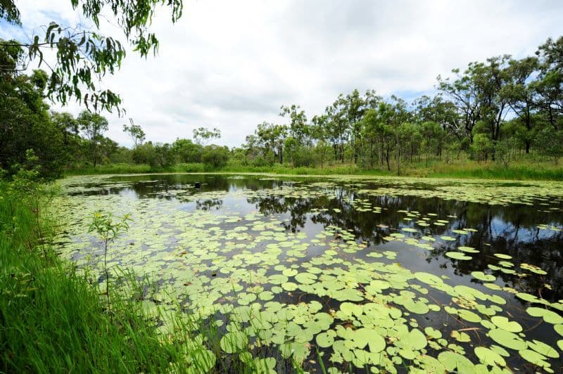 939 Glenlyon Road, GLADSTONE QLD 4680, Gladstone - Image 1