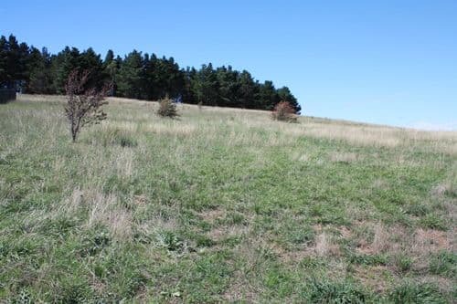 6 O'Neill Place, BUNGENDORE NSW 2621, Bungendore - Image 1
