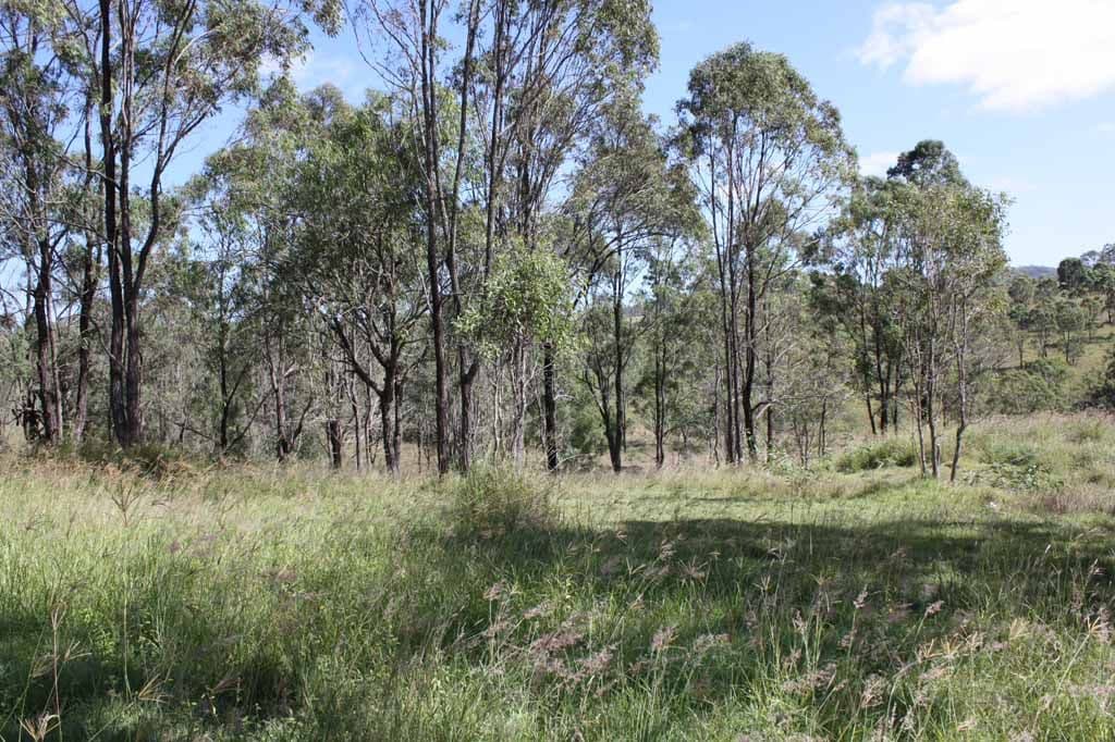 32-34 Wyndham Place, KOORALBYN QLD 4285, Kooralbyn - Image 1