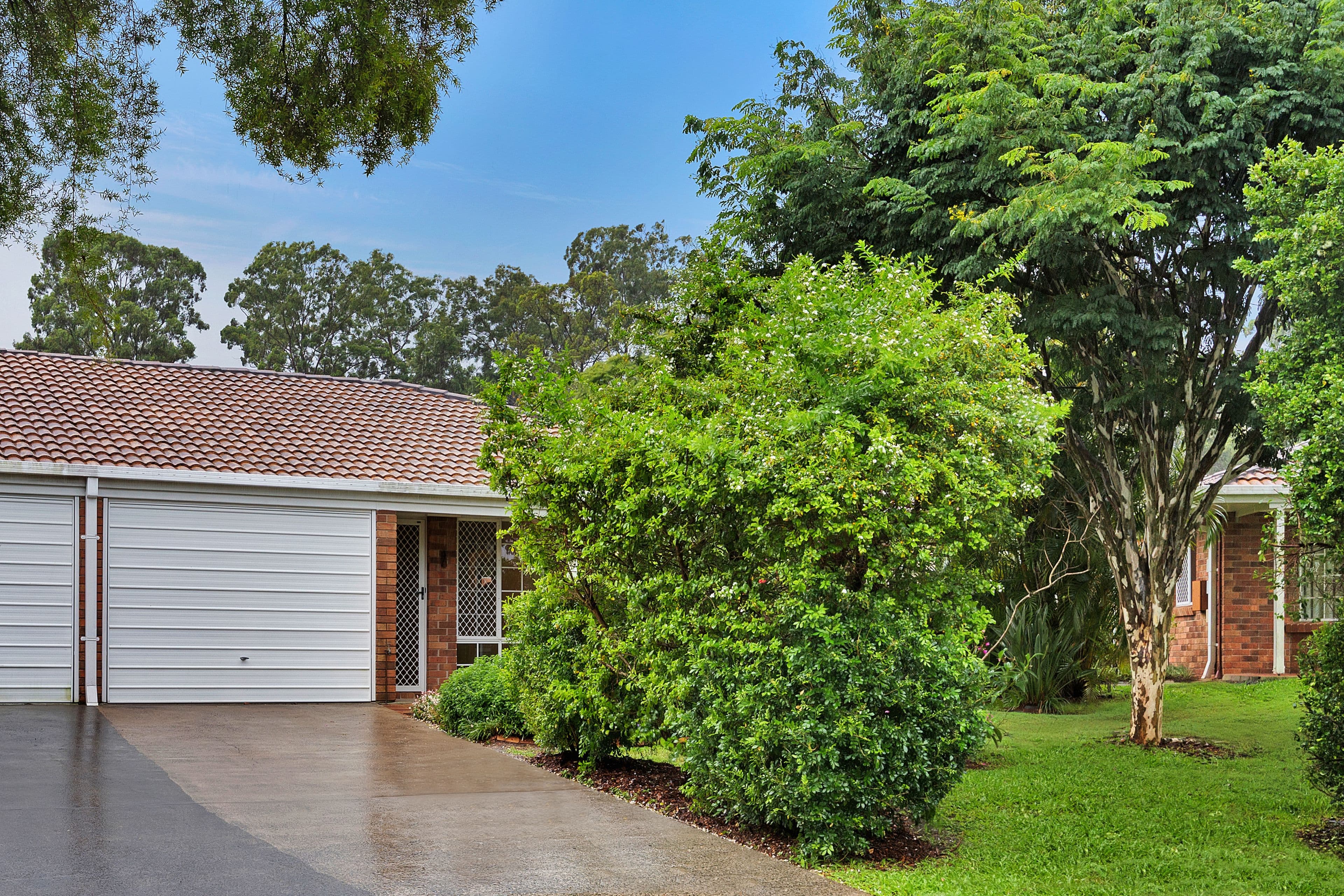 10 Halle Street, Everton Park QLD 4053, Everton Park - Image 1