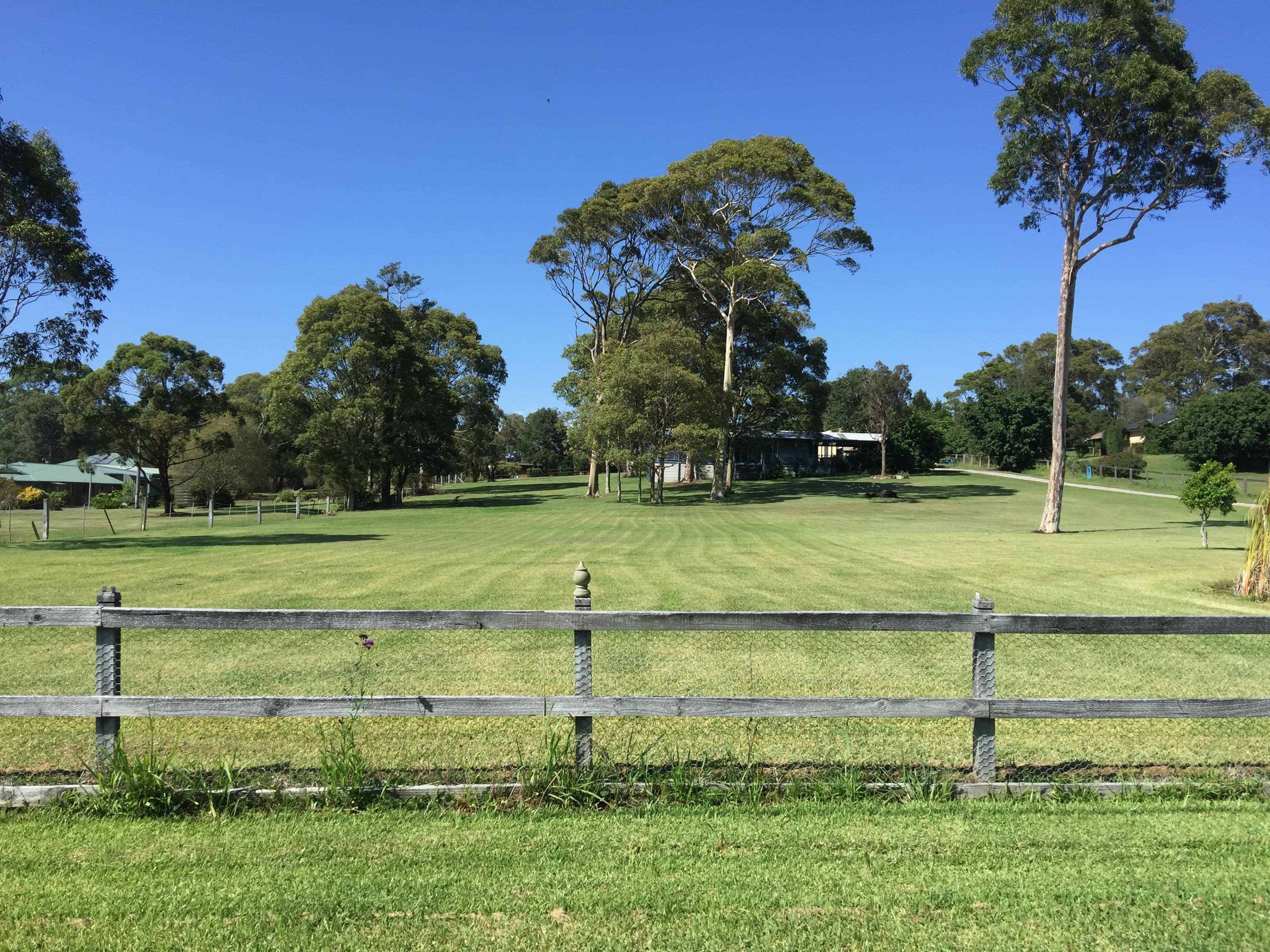 8 Warrambool Road, Wamberal - Image 1