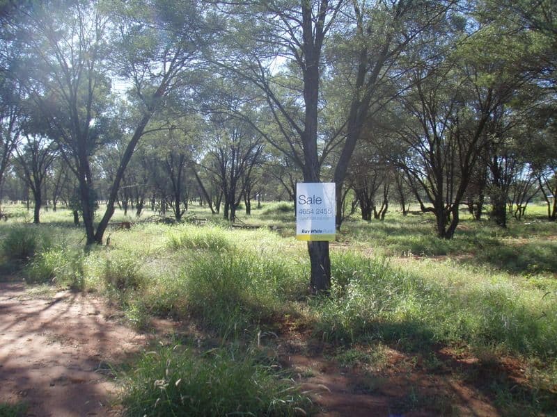 Lot 1 Partridge, CHARLEVILLE QLD 4470, Charleville - Image 1