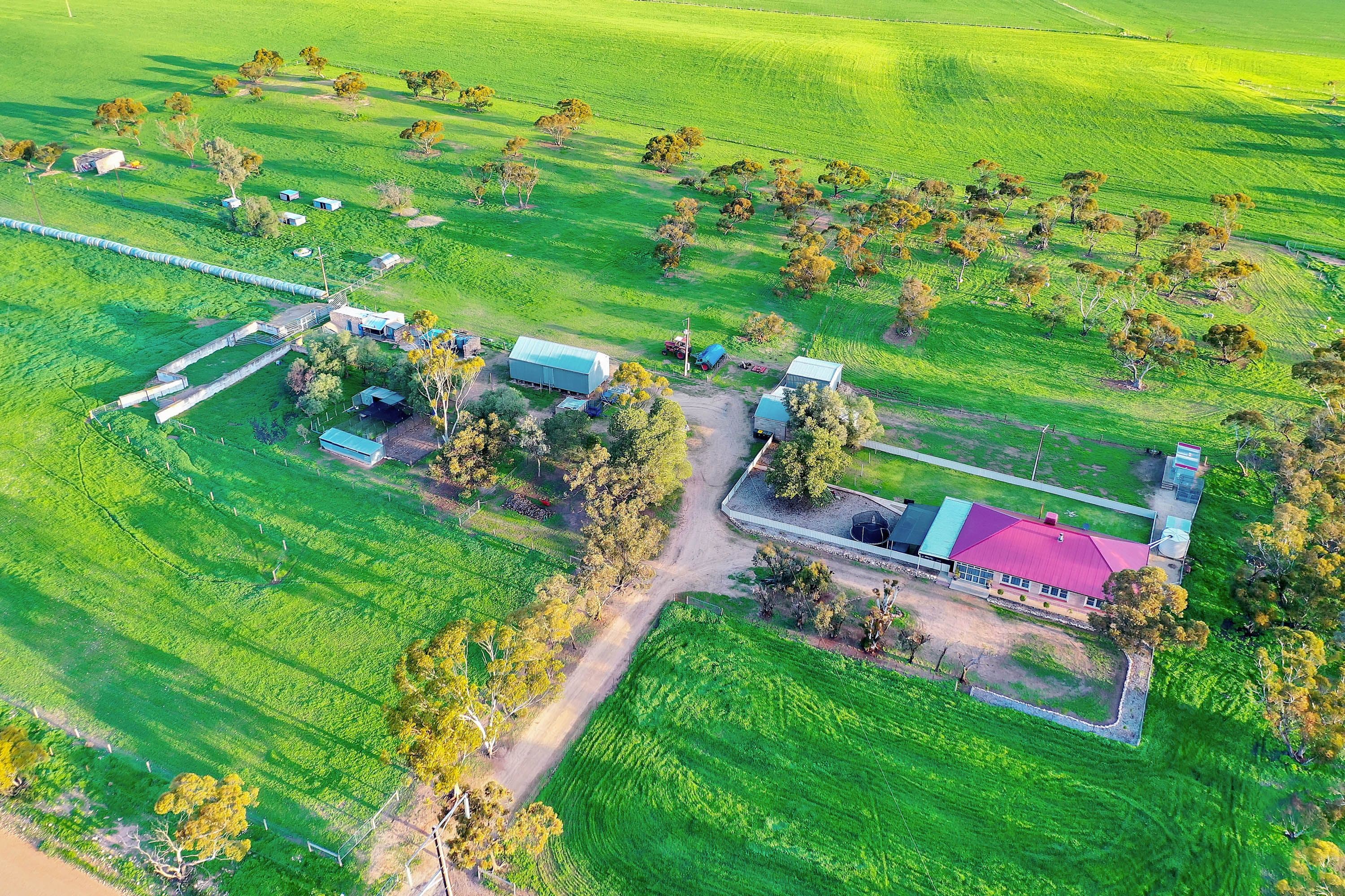 1422 Kallora Road, Avon SA 5501, Avon - Image 1