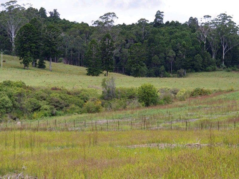 Lot 5 Cavanagh Road, Lowanna NSW 2450, Lowanna - Image 1