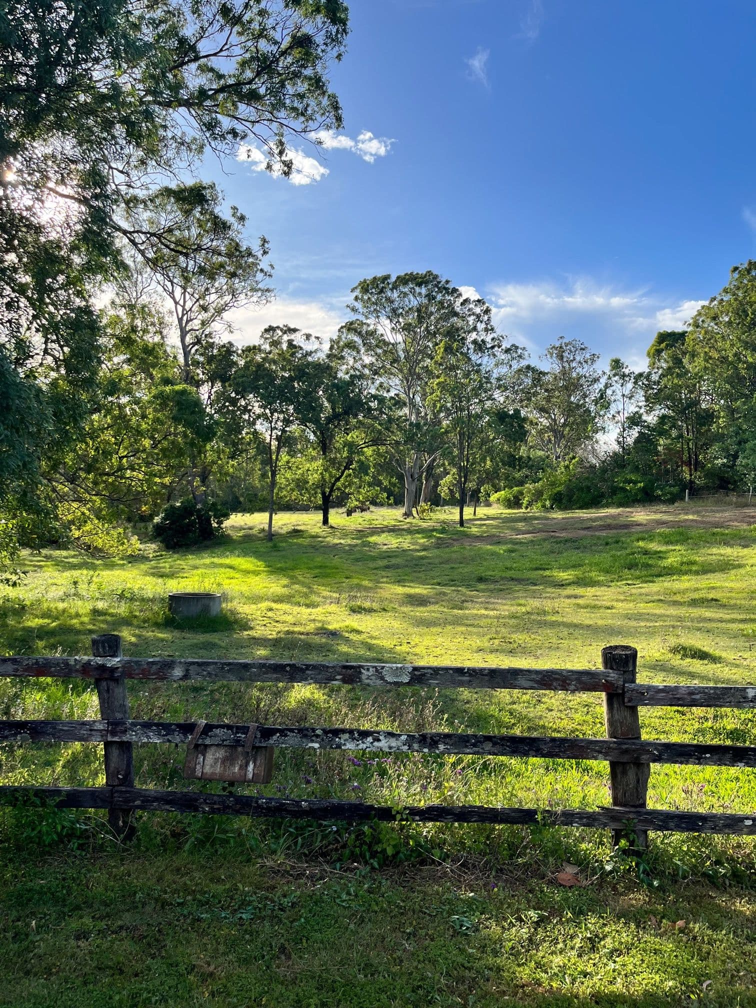 Bluegum Drive, Wonglepong QLD 4275, Wonglepong - Image 1