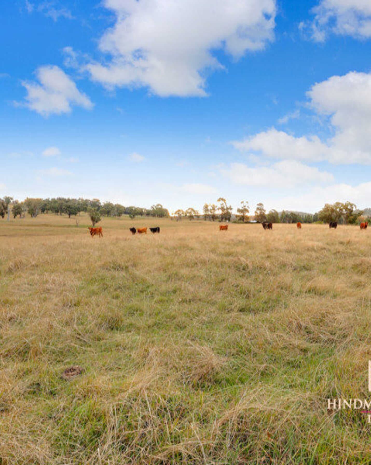 Lot 4 Old Hume Highway Berrima, Berrima - Image 1