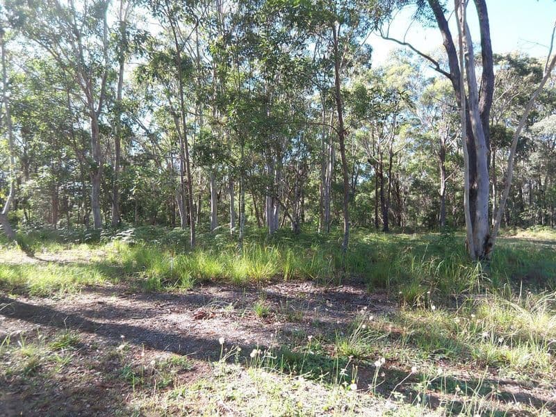 11 Woodlands Circuit, RUSSELL ISLAND QLD 4184, Russell Island - Image 1