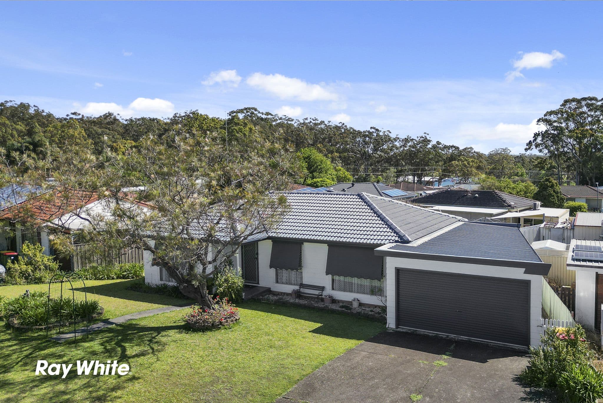 4 Tea Tree Drive, Medowie NSW 2318, Medowie - Image 1