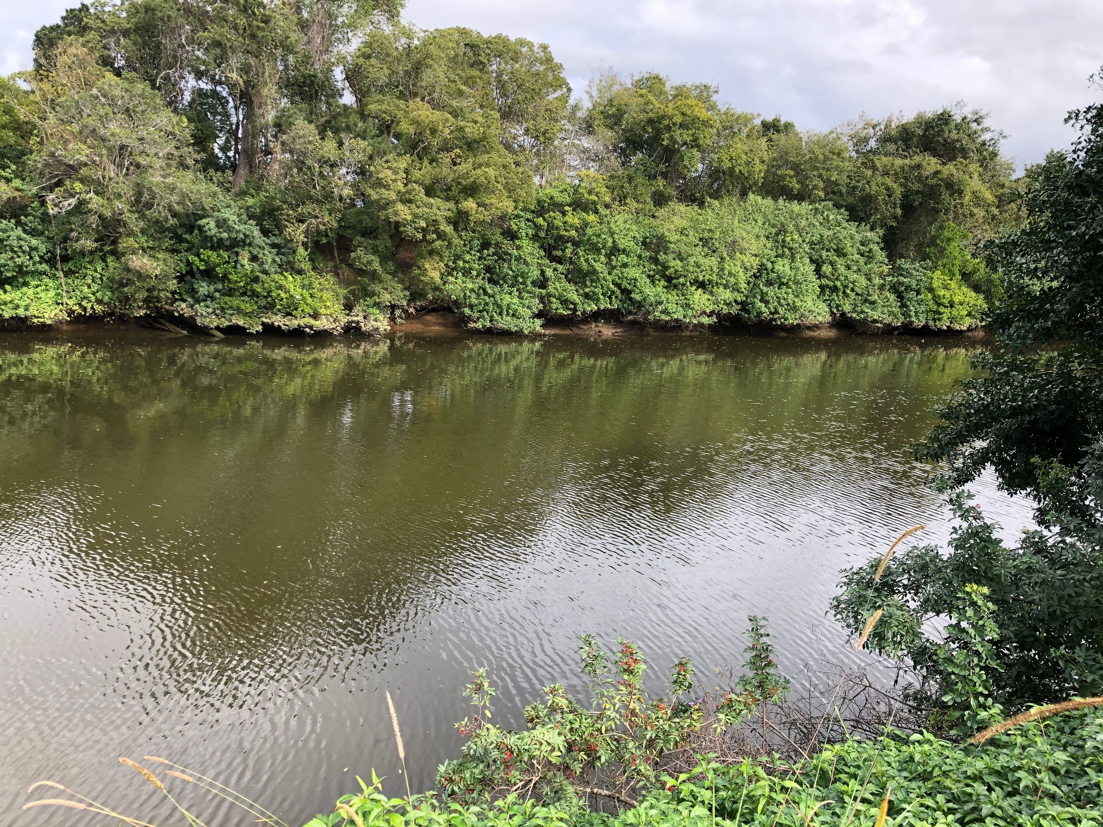 Caboolture QLD 4510, Caboolture - Image 1