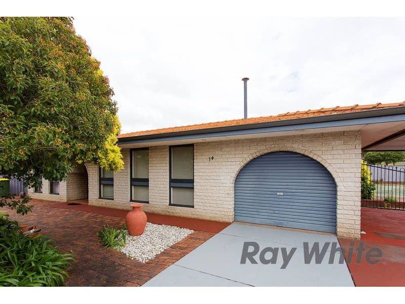 14 Williamson Road, Kardinya WA 6163, Kardinya - Image 1