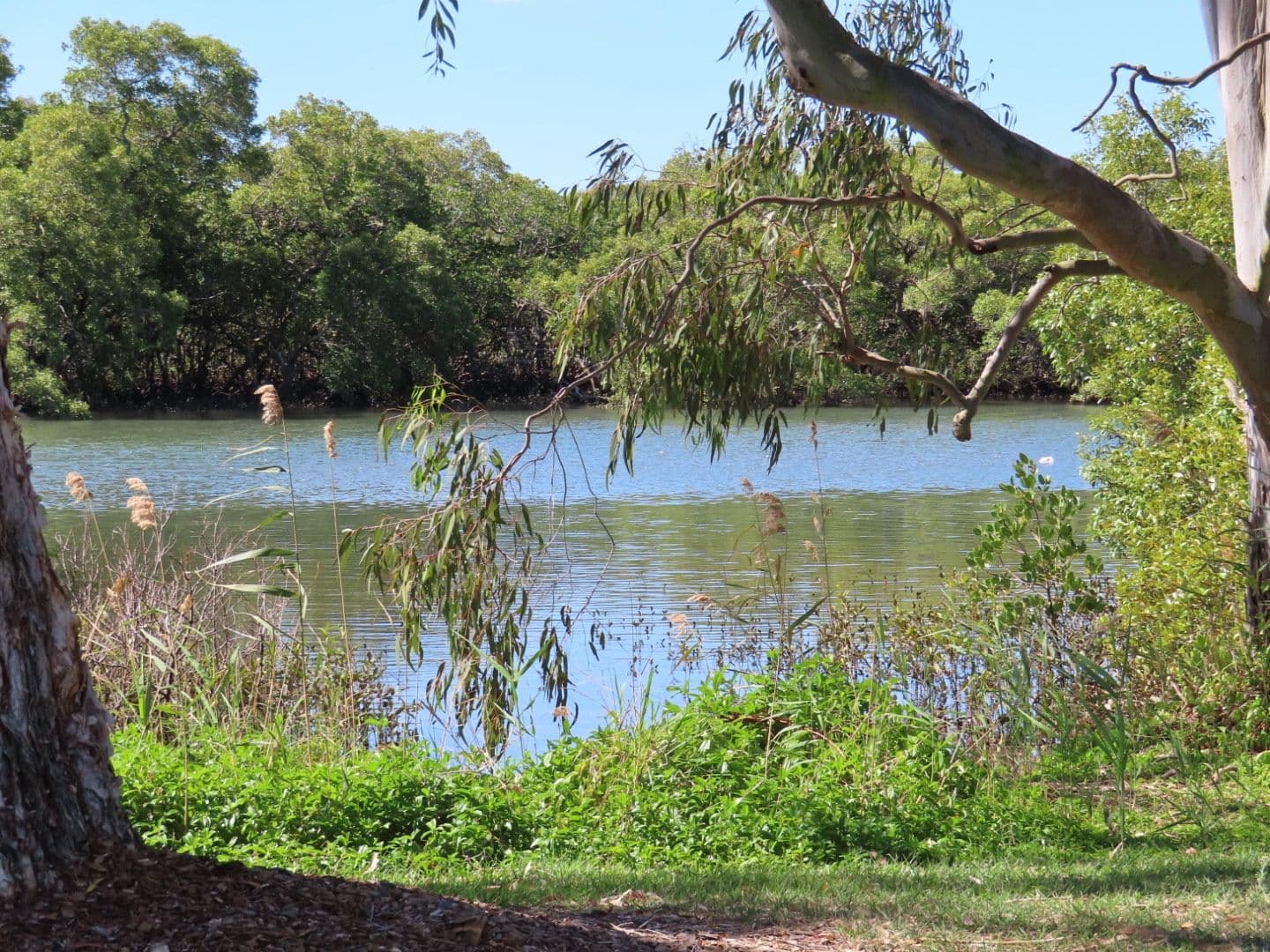82 Ningi Esplanade, Ningi QLD 4511, Ningi - Image 1