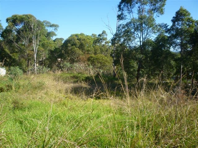 3 Bulwarra Place, BOLTON POINT NSW 2283, Bolton Point - Image 1
