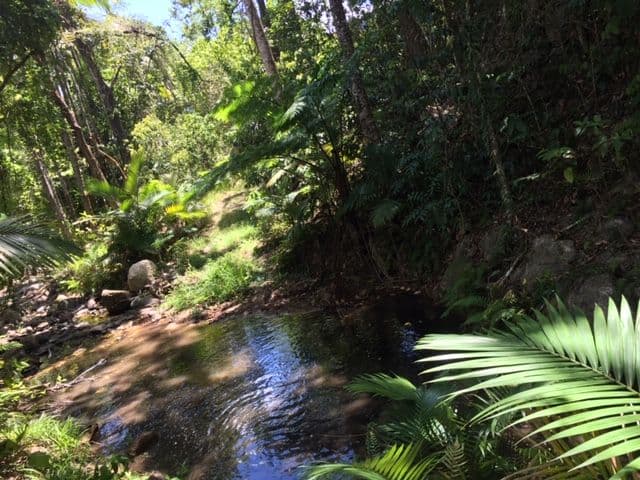 596 Gorge Road, Finch Hatton QLD 4756, Finch Hatton - Image 1