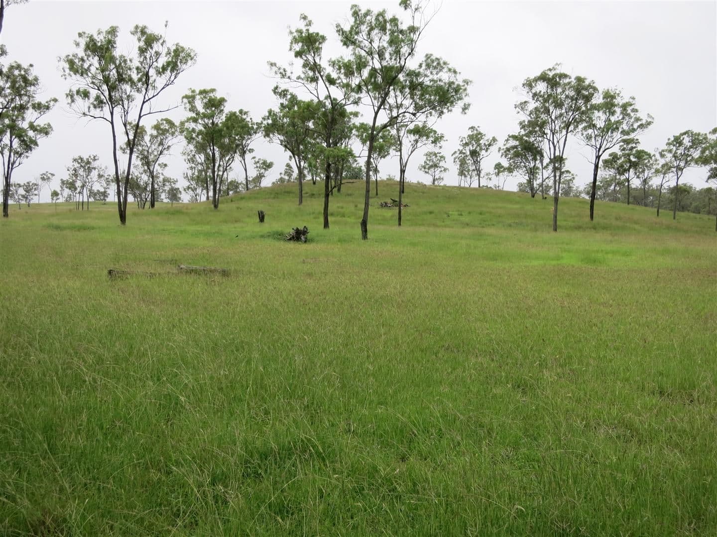 Lot 4 Stanwell-Waroula Road, STANWELL QLD 4702, Stanwell - Image 1