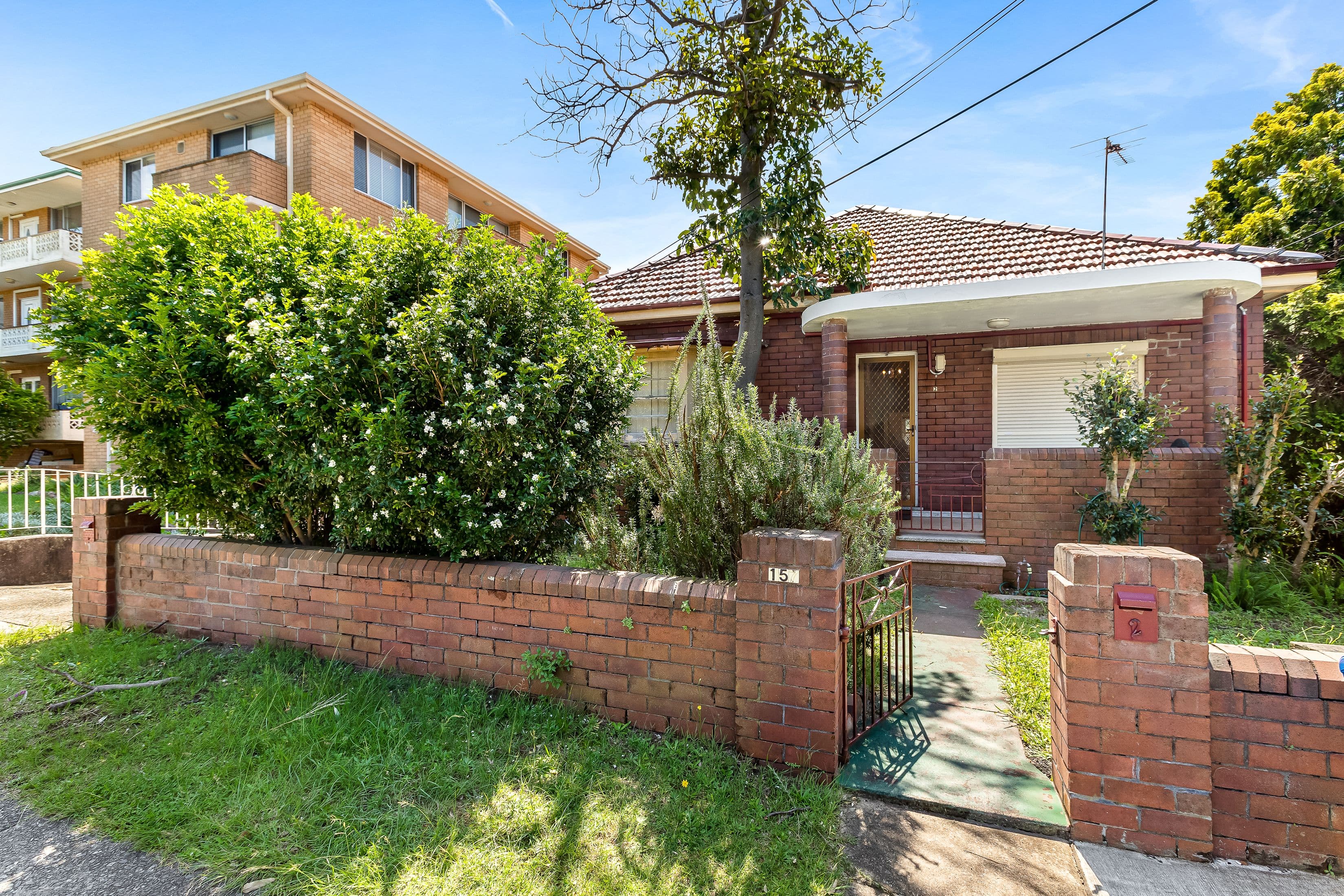 157 Homer Street, Earlwood NSW 2206, Earlwood - Image 1